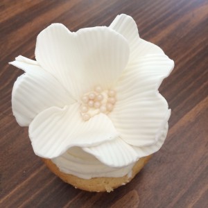 Miss Mamie's Cupcake Decorating Class