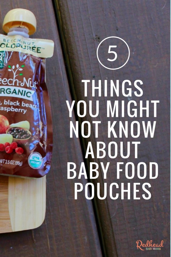 5 Things You Might Not Know About Baby Food Pouches Redhead Baby Mama