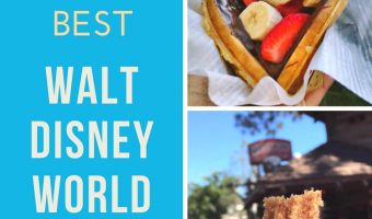5 Best Walt Disney World Resort Snacks