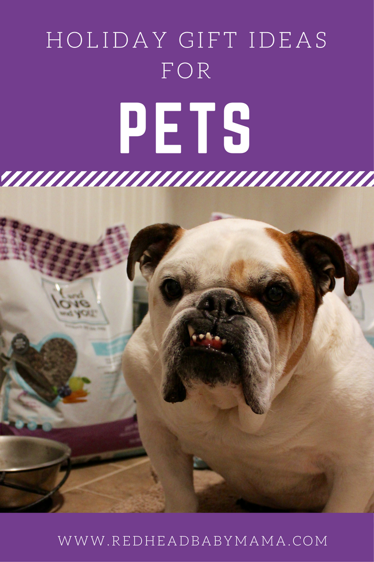 5 Holiday Gift Ideas for Pets Redhead Baby Mama Atlanta Blogger