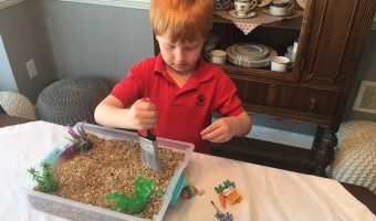 Amazon's Tumble Leaf Inspired Craft: Spring Discovery Sensory Bin | Redheadbabymama.com