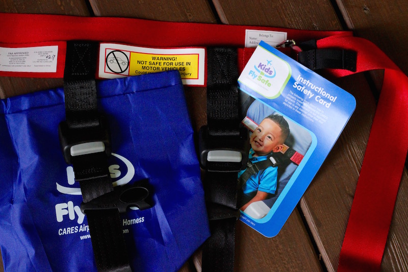 The CARES Harness comes with a bag, manual and a one-piece unit harness. | Redheadbabymama.com